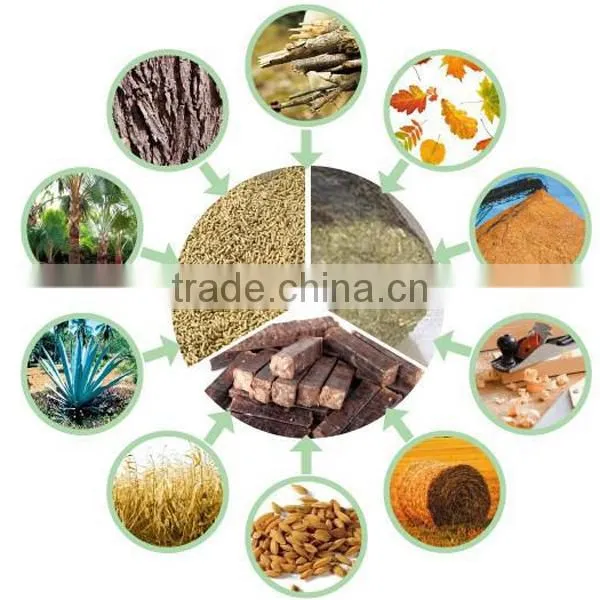 Factory Direct Wood Ring Die Pellet Making Machine Granulator photo-3