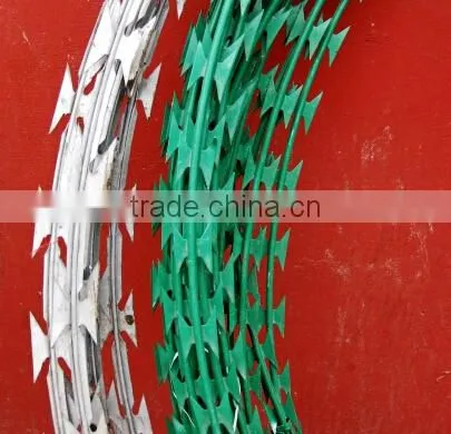 Wholesale BTO-22 Powder Coated Razor Barbed Wire photo-2