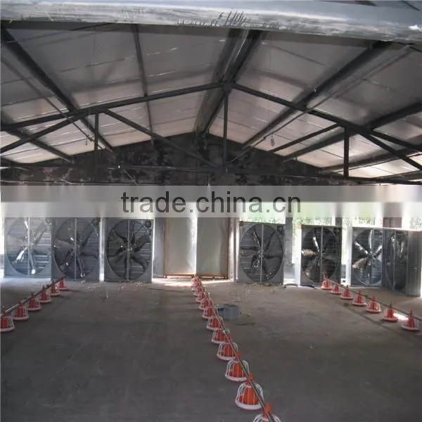 Meat Chicken Poultry Feeding Line photo-3