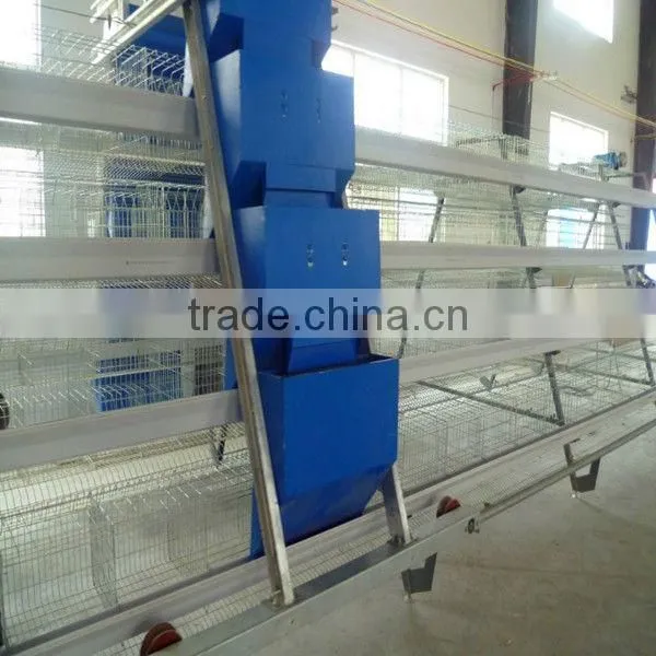 Automatic Feeding System