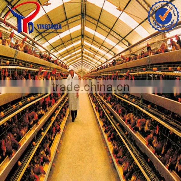 Wholesale Chicken Price
