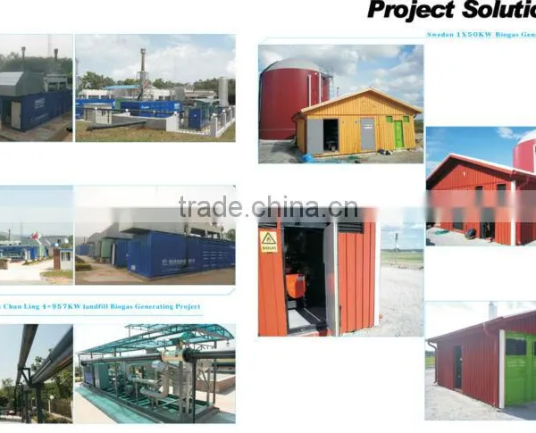 Natural Gas Generator / Biogas Genset /biogas Power Plant/biomass Power Plant photo-4