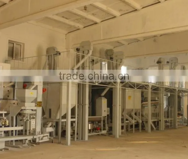 maize corn processing line