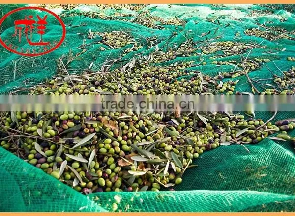 HDPE Knitted Olive Picking Net photo-2
