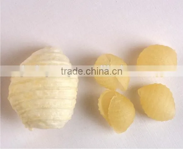 Single Screw Extruder 3D 2D Fry Snack Pellets Extruding Machine photo-2