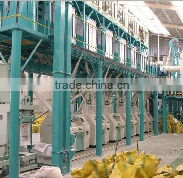 China Manufacturer Screw Wheat Brusher photo-4