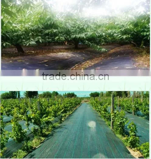 Ecological Can be Cut the Weed Mat for Agricultural Ground Cover photo-5