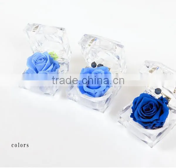 Natural Rose Preserved Flower for Thanksgiving and Christmas Gift photo-2