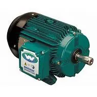Brook Crompton Motor