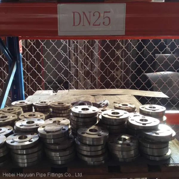 Flanges Forging Flange Pipe Fitting photo-3