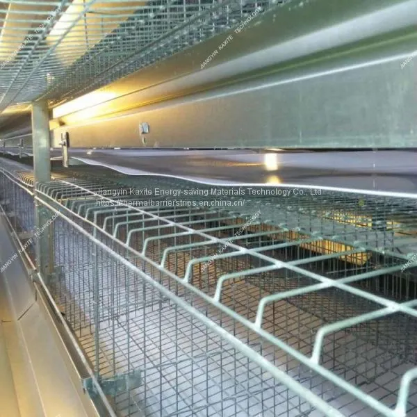 Customized Size PP Broiler Farm Manure Belt Poultry Flooring System photo-3