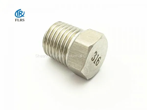 ASME B16.11 Hexagon Head NPT/BSPT A182 F316/316L Threaded Plug/pipe Fitting photo-4