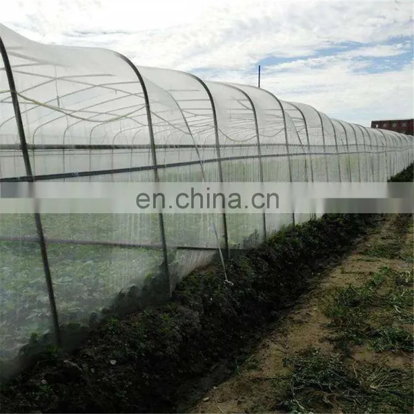 Factory Direct Supply Polyethylene Greenhouse Silver Anti Insect Net photo-3