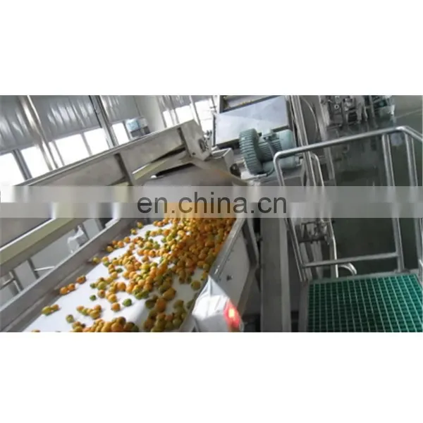 Fruit Juice Pineapple Juice Production Line photo-4