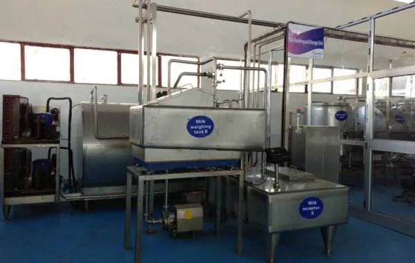 Small Scale Dairy Equipment/production Line for Sale Milk to Make Dairy Products Fresh Liquid Milk Milk/milk Powder Automatic photo-3