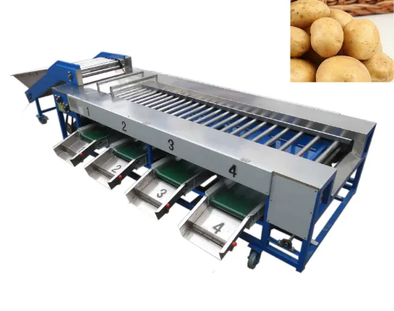 Orang Sorter Machine/ Mandarin Orange Sorting Machine/ Apple Grading Machine photo-6