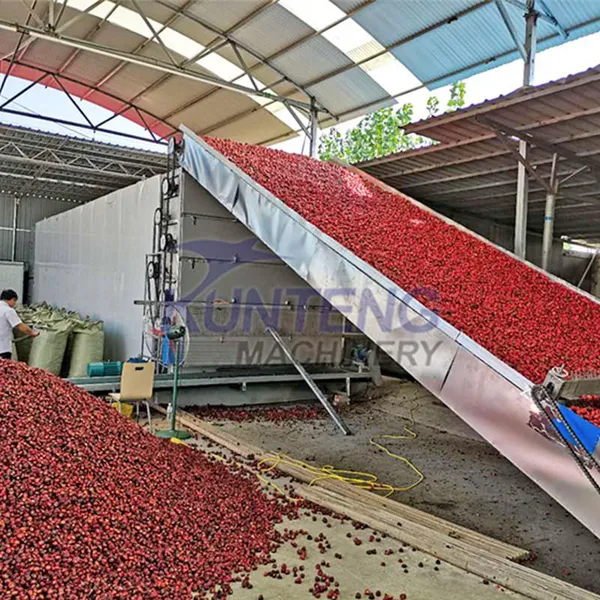 Belt Conveyor Food Fruit Grape Raisin Dry Slip Ginger Processing Bsf Insects Drying Machine Plant Corn Cob Seaweed Cassava Dryer EPC photo-3
