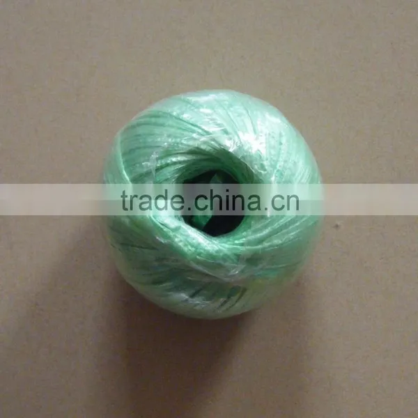 pp Greenhouse Twine Supplier photo-5