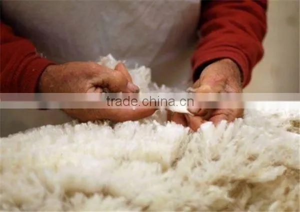 Best Selling Wool Sweater Washing Machine photo-4