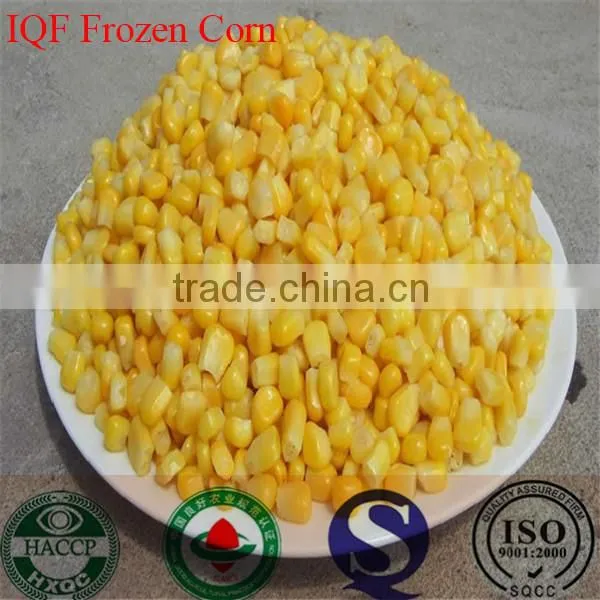 IQF Freezing Process and Frozen Style Canned Sweet Kernel Baby Corn photo-4