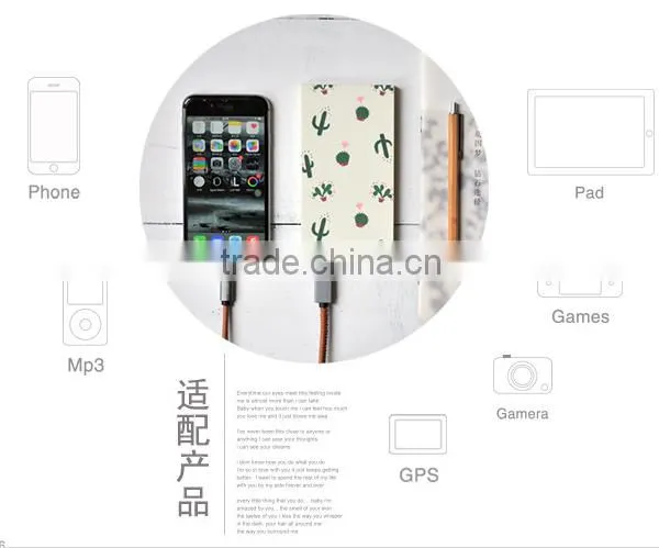 New Products 2016 Universal Ultra Thin High Capacity Polymer Power Bank For Mobile Phone photo-6