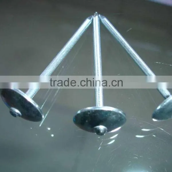 ROOFING NAILS BWG9X2.5" 50KGS GUNNY BAG MADE IN CHINA photo-2