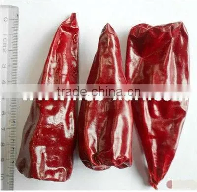 YIDU BIG CHILLI