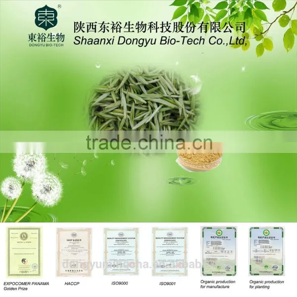 Green Tea Extract Polyphenols 95% EGCG 50%