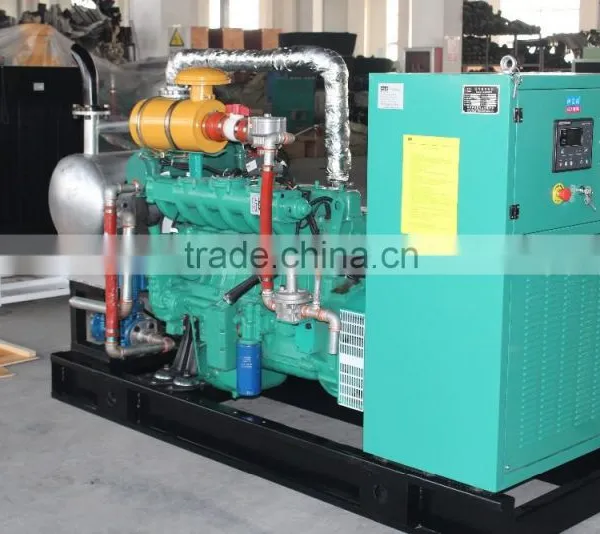 Natural Gas Generator With CHP