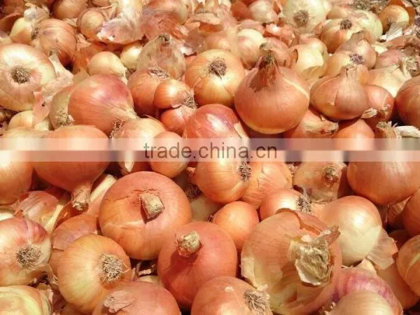 Fresh (RED ,Yellow , White ) ONION photo-6