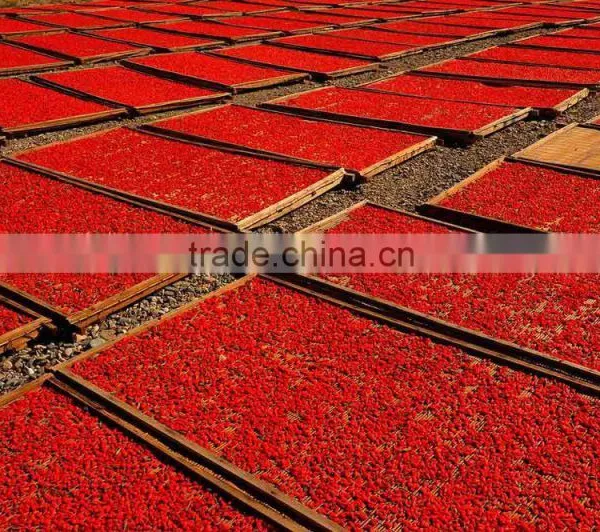 2016 New Price Goji Berry Goji Grade A photo-3