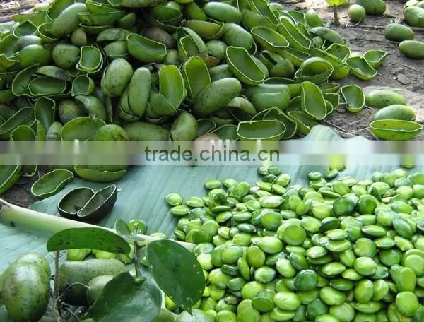 Griffonia Seed Extract photo-2