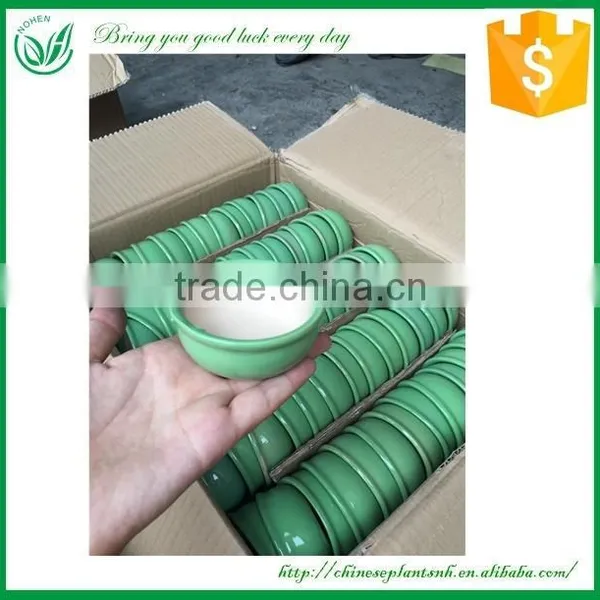Ceramic Flower Pot photo-3