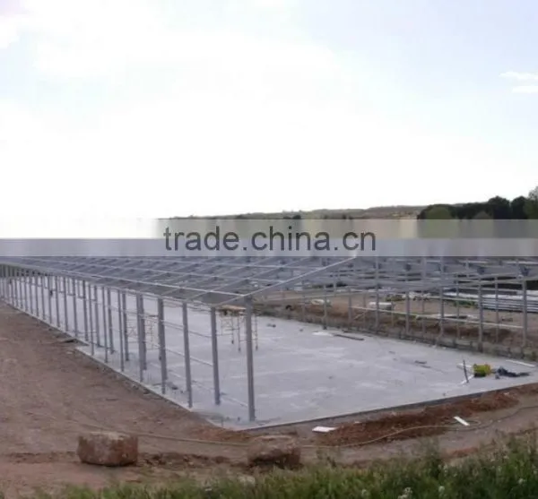 Steel Structure Chicken Shed /environmental Control Steel House photo-4