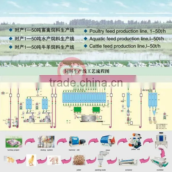 China Automatic Cattle Feed Pellet Making Line photo-3
