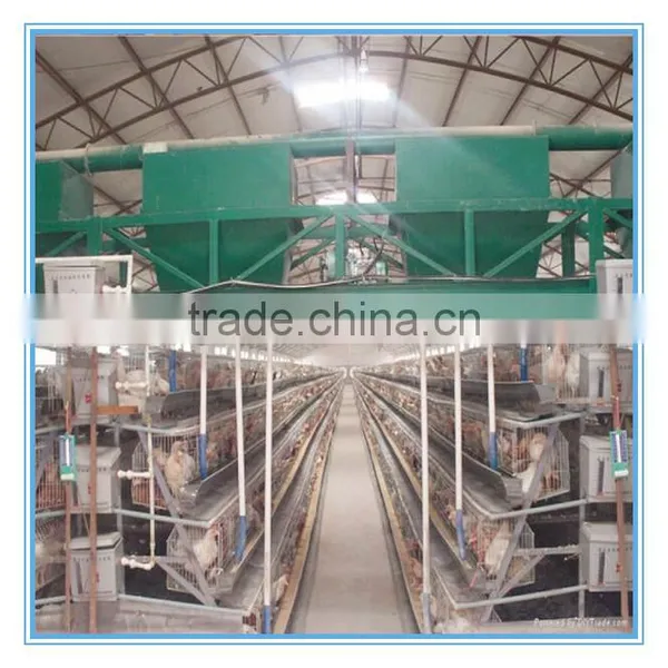 Chicken Farm Poultry Equipment for Sale( Good Quality,better Price)