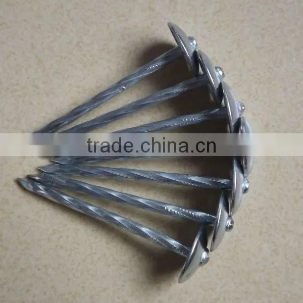 Hot-selling Polished Common Nails / Roofing Nails / Flat Head Nails photo-6