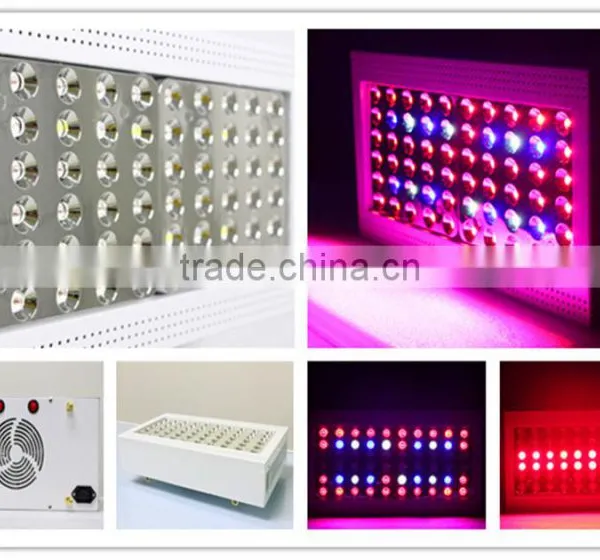 High Power Full Spectrum Growing Light Best Selling Products in America 150W Hans Panel Led Grow Light photo-6