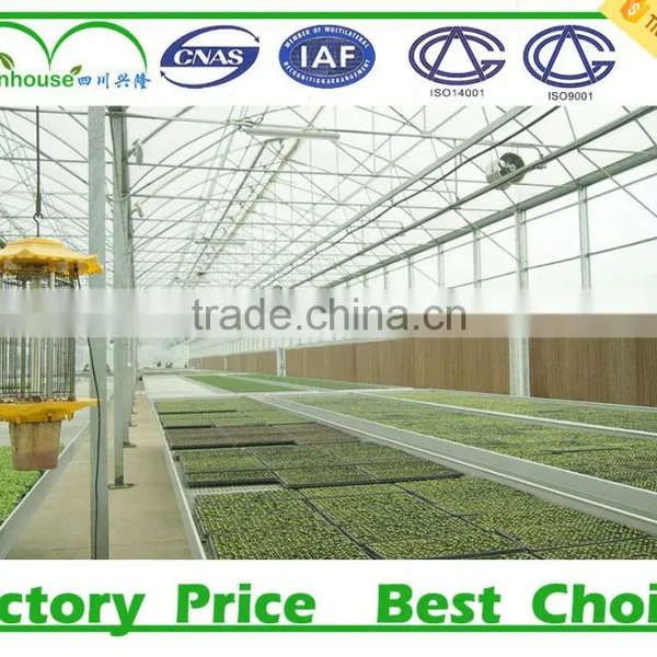 Glass Greenhouse for Nursery Plants photo-2