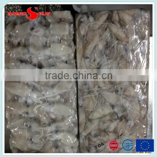 BQF Baby Squid Block Frozen photo-2
