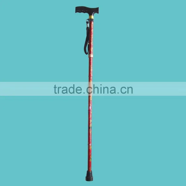 Floral Walking Stick photo-4