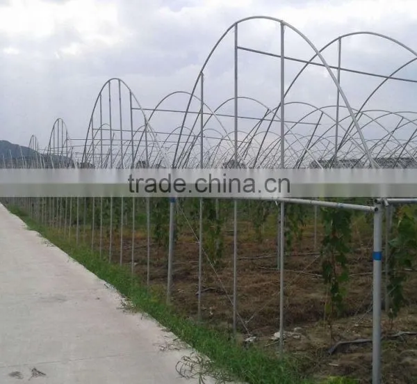 Agricultural Greenhouses For Soilless Hydroponics photo-2