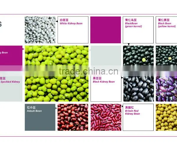 Mung Beans photo-4