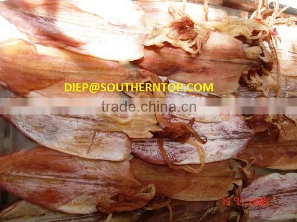 Dried Squid