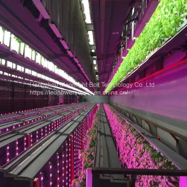Hydroponic Plant Factory Autopot Artificial Light System Grow Cabinet Kit Systems for Agriculture photo-5
