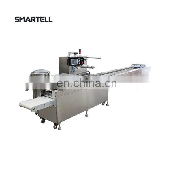 Full Automatic Syringe Pillow Blister Packing Printing Machine photo-3