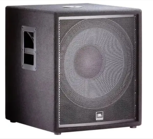 Single 18 Inch Professional Passive Speaker