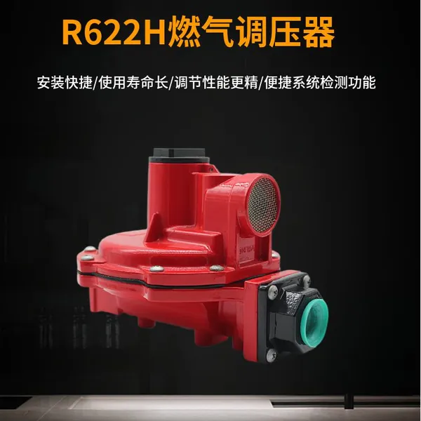 Gas Pressure Reducing Valve R622H-BGJ Natural Gas Regulator R622H Type Secondary Pressure Reducing Valve Manufacturer photo-5