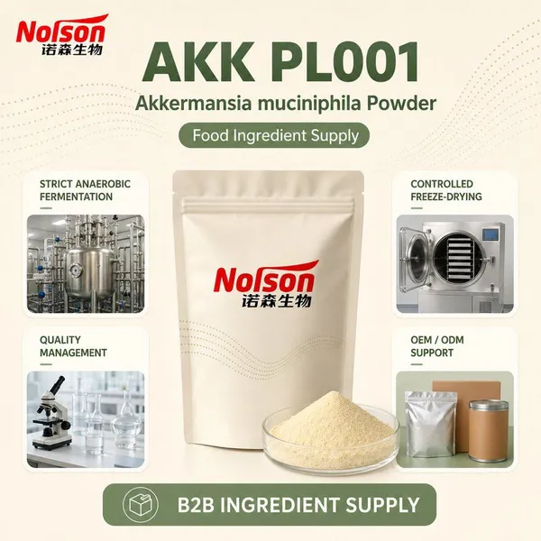 Norson Akkermansia Muciniphila Powder 100B CFU/g Probiotics Raw Material AKK PL001