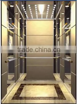 Etched Luxury Passenger Elevator